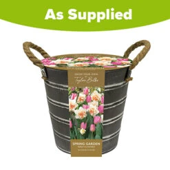 Outdoor Narcissi And Tulip Bucket Planter -Flower Harvest Shop 161135 3