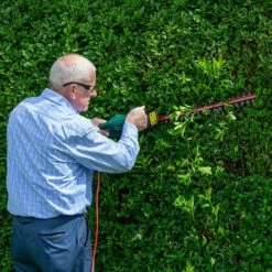 Webb 500w 51cm Cut Electric Hedge Trimmer -Flower Harvest Shop 180264 7