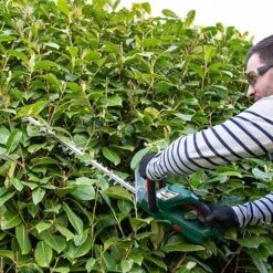 Webb 20v 2Ah Cordless Hedge Trimmer 12 Webb 20v 2Ah Cordless Hedge Trimmer -Flower Harvest Shop 180267 5
