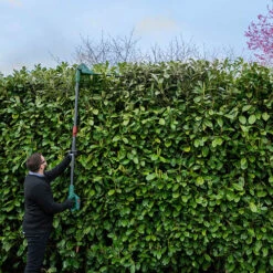 20v Cordless Long Reach Hedge Trimmer -Flower Harvest Shop 180268 4