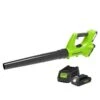 Greenworks 24V Blower With 2Ah Battery And Charger
