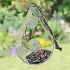 Dewdrop Window Feeder 10 Dewdrop Window Feeder -Flower Harvest Shop 190049 4