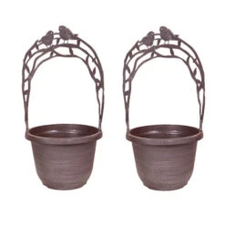 Narcissus 'T?te-?-T?te' Collection With Planters And Compost -Flower Harvest Shop 201203 3