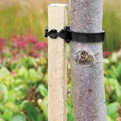 Complete Tree Planting Kit -Flower Harvest Shop 300215 4