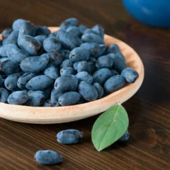 Honeyberry -Flower Harvest Shop 310034 3