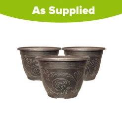 Blueberry Collection With Decorative Pots -Flower Harvest Shop 310082 4