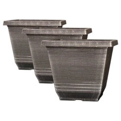 The Complete Blueberry Growing Kit -Flower Harvest Shop 310083 5