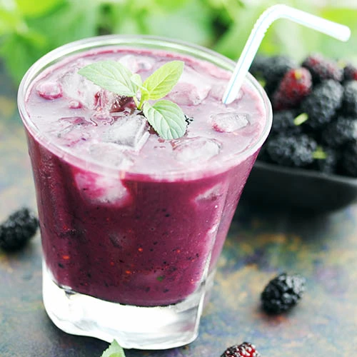 Morus Rotundiloba 'Mojoberry' Dwarf Mulberry 7 Morus Rotundiloba 'Mojoberry' Dwarf Mulberry - Image 7