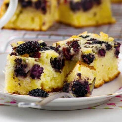 Morus Rotundiloba 'Mojoberry' Dwarf Mulberry 16 Morus Rotundiloba 'Mojoberry' Dwarf Mulberry -Flower Harvest Shop 310092 7