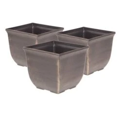 Complete Blueberry Vaccinium Kit -Flower Harvest Shop 310123 6