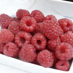 Raspberry Long-Cane 7 Raspberry Long-Cane -Flower Harvest Shop 330002 2