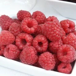 Patio Raspberry 'Sweet Sunshine' -Flower Harvest Shop 330052 2