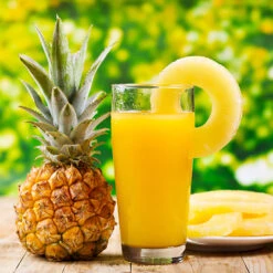 Edible Indoor Pineapple Plant - Ananas Comosus. -Flower Harvest Shop 340031 3