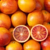 Blood Orange Citrus