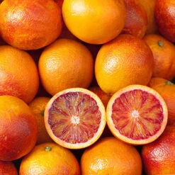 Blood Orange Citrus