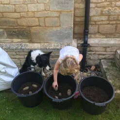 Complete Patio Potato Growing Kit -Flower Harvest Shop 350007 5