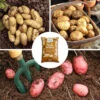 Complete Patio Potato Top-up Kit