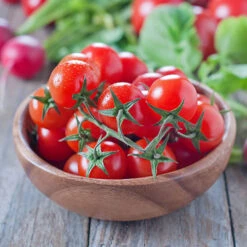 'Tumbling Tom' Tomato -Flower Harvest Shop 370026 2