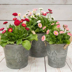 Flower Harvest Shop -Flower Harvest Shop 401163 1