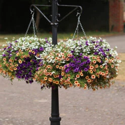 'Fruit Salad' Pre-Planted Basket -Flower Harvest Shop 450013 2