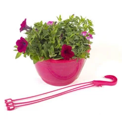 'Eton Mess' Pre-Planted Basket -Flower Harvest Shop 450079 2