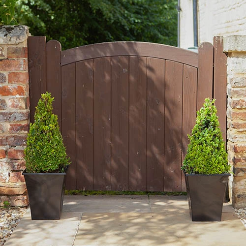 Pair Of Buxus Box Pyramids 3 Pair Of Buxus Box Pyramids - Image 3