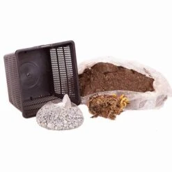 Water Lily Planting Kit - White -Flower Harvest Shop 580027 4