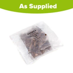 Ranunculus Mix 5 Ranunculus Mix -Flower Harvest Shop 600214 2