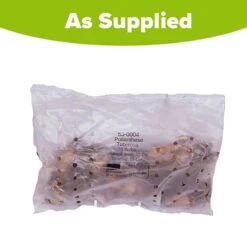 Polianthes Tuberosa 'The Pearl' -Flower Harvest Shop 630004 3