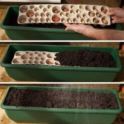 Blooming Fast Drop In Bulb Planter Balcony Beauty Pack -Flower Harvest Shop 630107 5