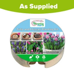 Blooming Fast Drop In Bulb Planter Tulip And Muscari Kit 9 Blooming Fast Drop In Bulb Planter Tulip And Muscari Kit -Flower Harvest Shop 630187 4