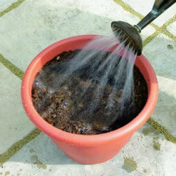 Blooming Fast Drop In Bulb Planter Tulip And Crocus Kit -Flower Harvest Shop 630188 3