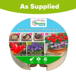 Blooming Fast Drop In Bulb Planter Tulip And Crocus Kit -Flower Harvest Shop 630188 4