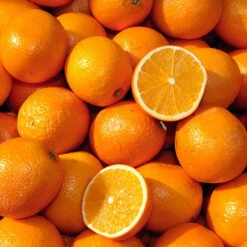 Pair Of Large Orange Trees -Flower Harvest Shop 680091 2