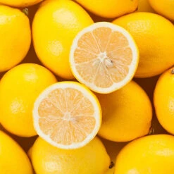 Pair Of Large Lemon Trees 7 Pair Of Large Lemon Trees -Flower Harvest Shop 680092 2