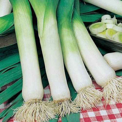 Greens Vegetable Seed Collection 3 Greens Vegetable Seed Collection - Image 3