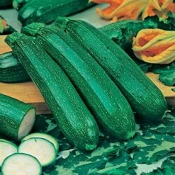 Greens Vegetable Seed Collection 8 Greens Vegetable Seed Collection -Flower Harvest Shop 700051 3