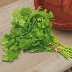 Herb Seed Collection -Flower Harvest Shop 700052 4